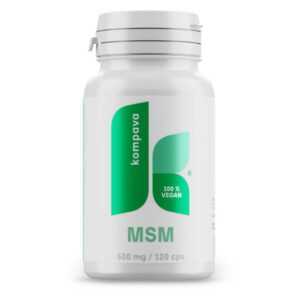 KOMPAVA MSM 500 mg 120 kapslí